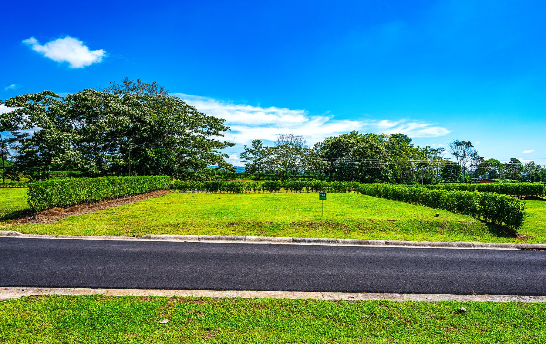 Ready To Build Lot In Gated Community, La Fortuna, Lake Arenal, San Ramon, Alajuela, Alajuela, Costa Rica 21007 — photo 3 of 5