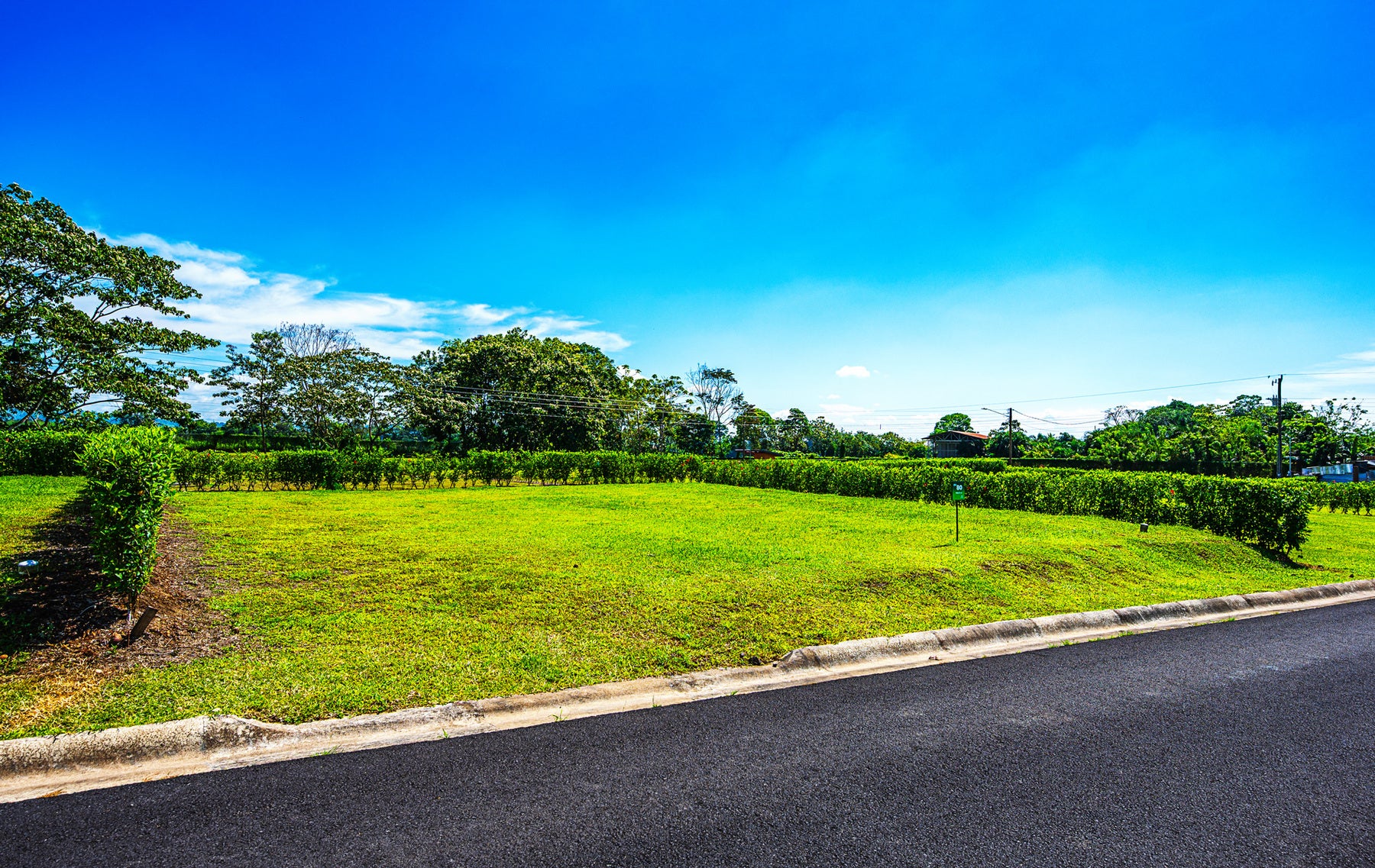 Ready To Build Lot In Gated Community, La Fortuna, Lake Arenal, San Ramon, Alajuela, Alajuela, Costa Rica 21007 — photo 5 of 5