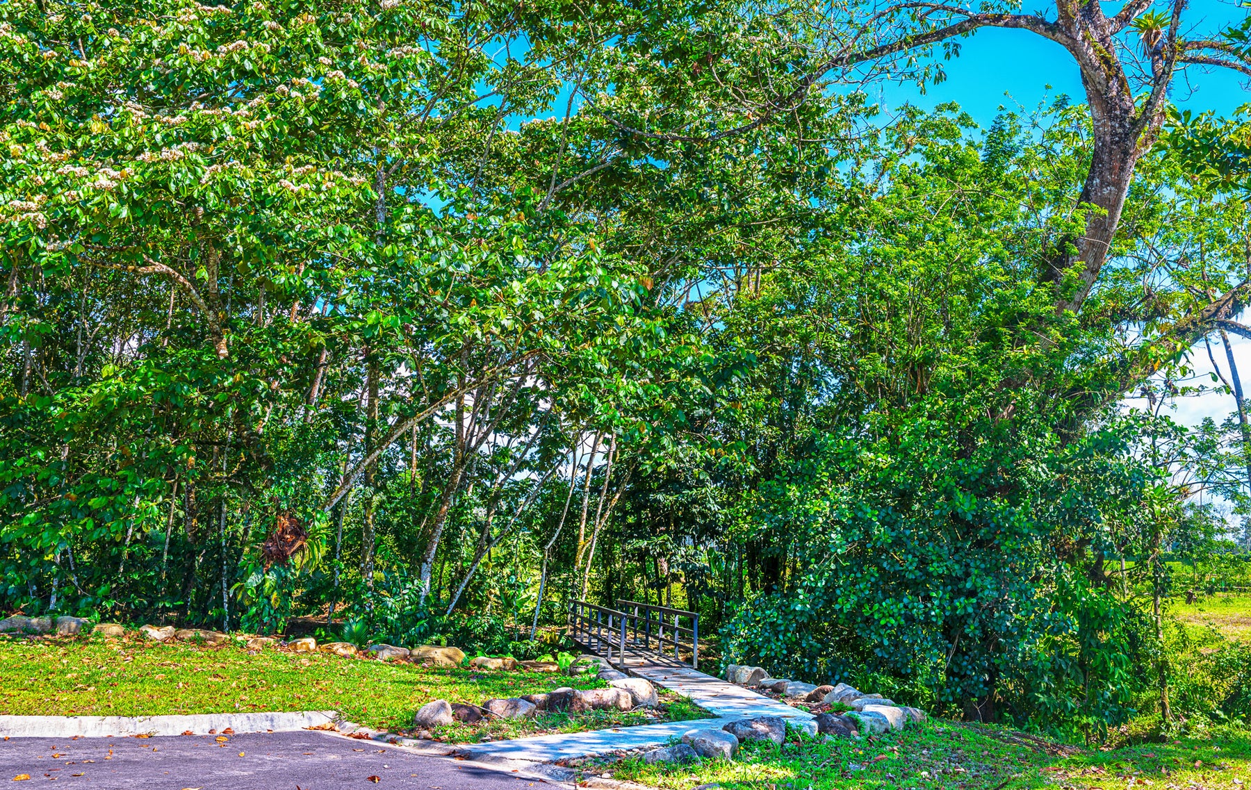Ready To Build Lot In Gated Community — photo 14 of 16