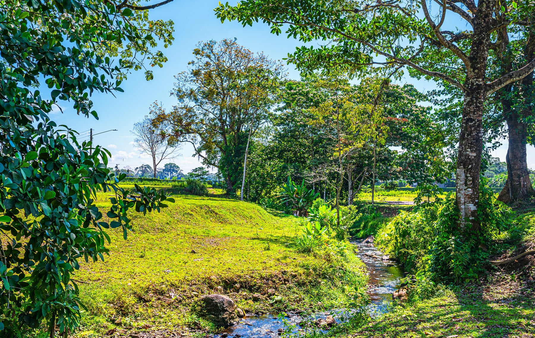 Ready To Build Lot In Gated Community — photo 15 of 16