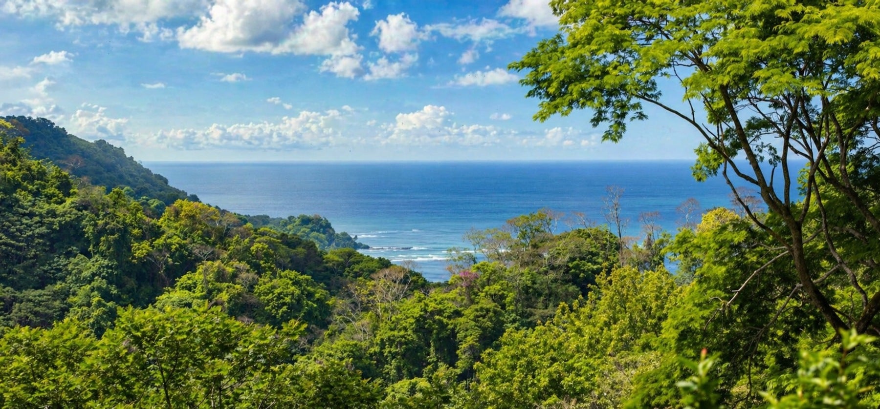Four Bedroom Ocean View Villa — photo 7 of 19