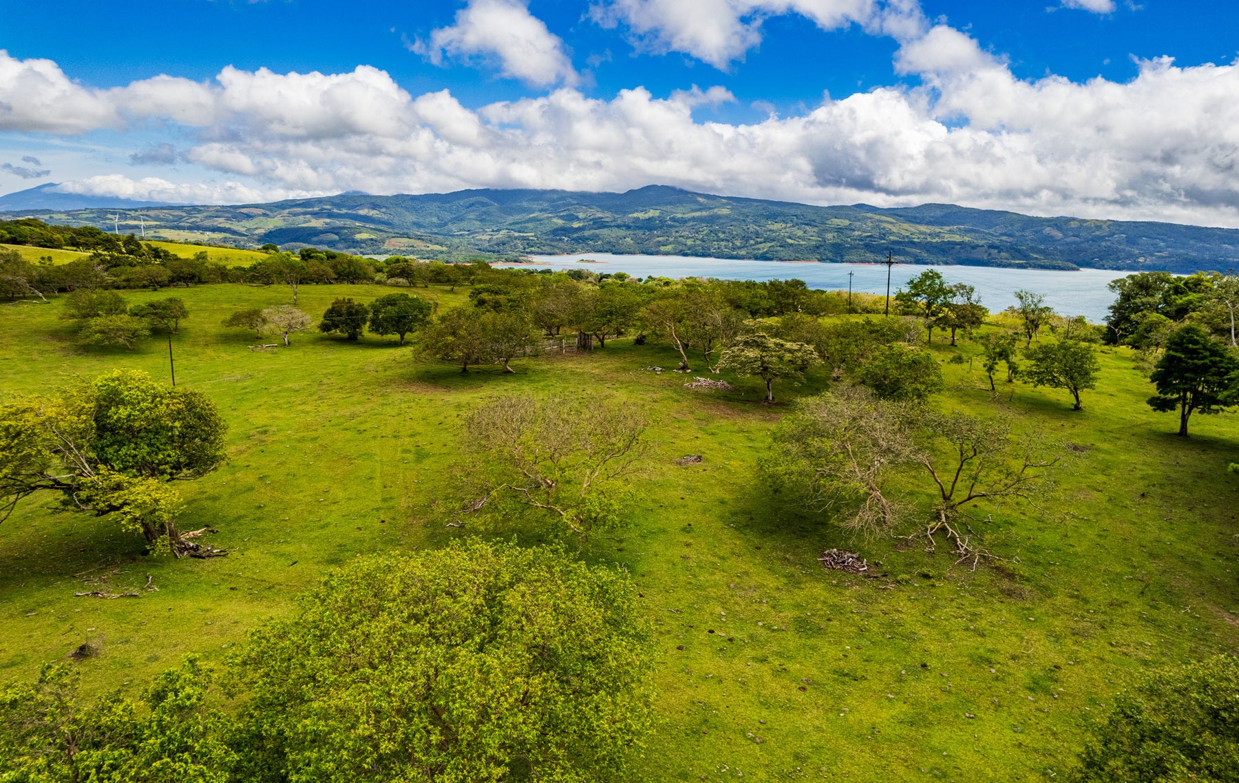 Development Property With Lake Views — photo 6 of 19