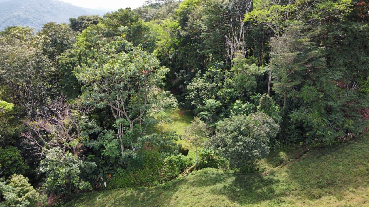 Lagunas Mountain View lot in Lagunas read to build, Lagunas, Dominical, Puntarenas, Costa Rica — photo 4 of 5