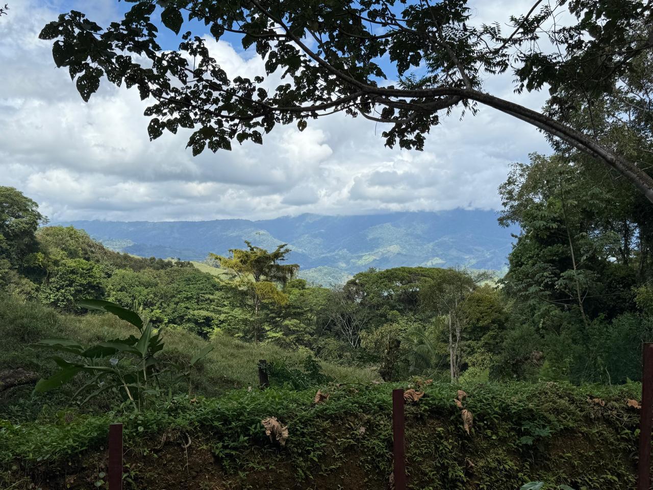 Lagunas Mountain View lot in Lagunas read to build, Lagunas, Dominical, Puntarenas, Costa Rica