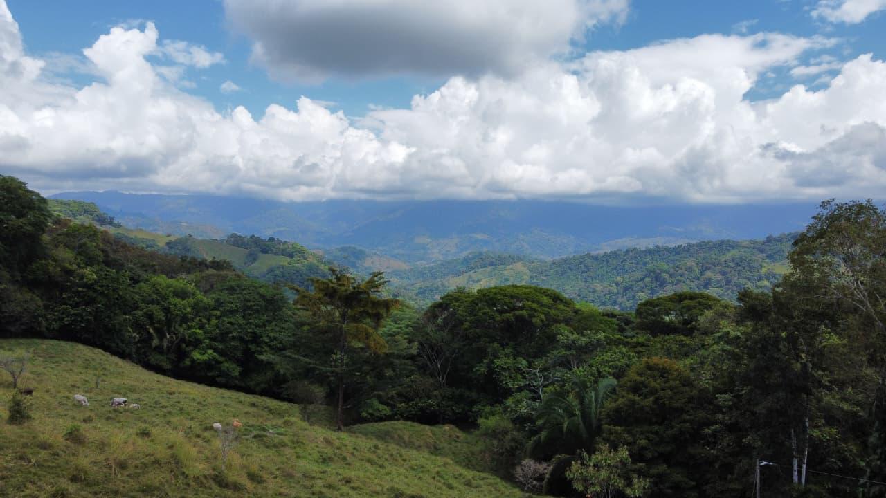 Lagunas Mountain View lot in Lagunas read to build, Lagunas, Dominical, Puntarenas, Costa Rica — photo 3 of 5