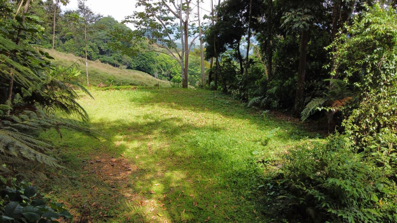Lagunas Mountain View lot in Lagunas read to build, Lagunas, Dominical, Puntarenas, Costa Rica — photo 5 of 5