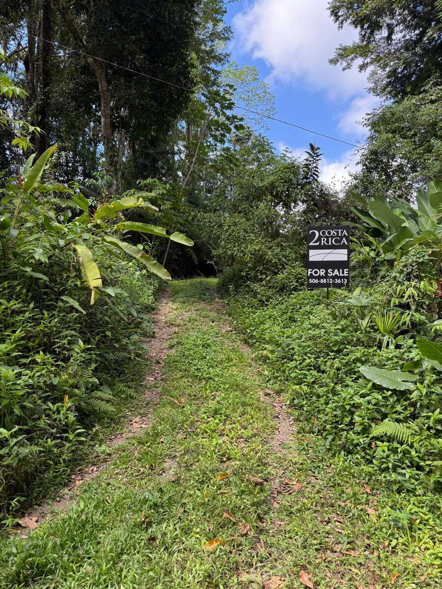 Lagunas Mountain View lot in Lagunas read to build — photo 10 of 12