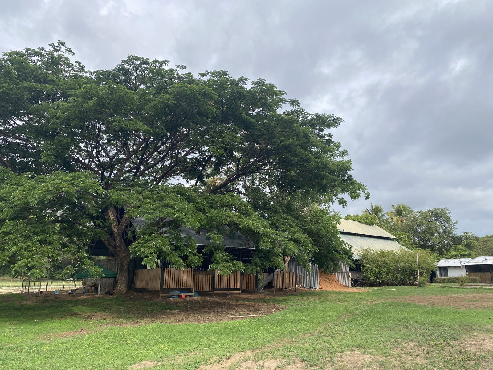 Five Hectares of Prime Development Opportunity  Residential and Commercial Walk to Beach near Flamingo Marina — photo 7 of 19