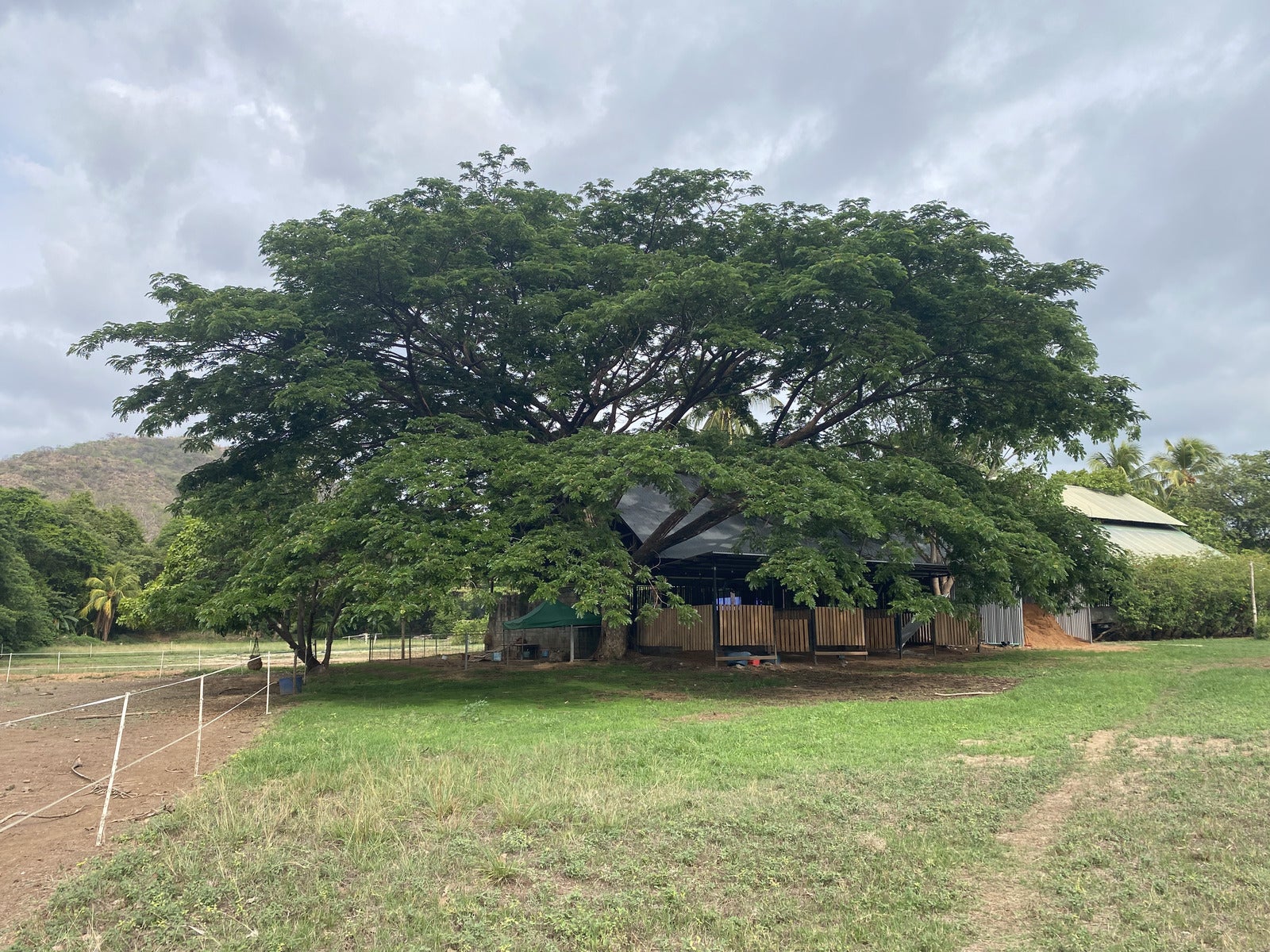 Five Hectares of Prime Development Opportunity  Residential and Commercial Walk to Beach near Flamingo Marina — photo 8 of 19