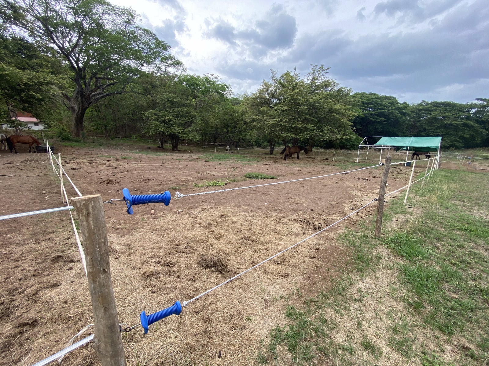 Five Hectares of Prime Development Opportunity  Residential and Commercial Walk to Beach near Flamingo Marina — photo 9 of 19