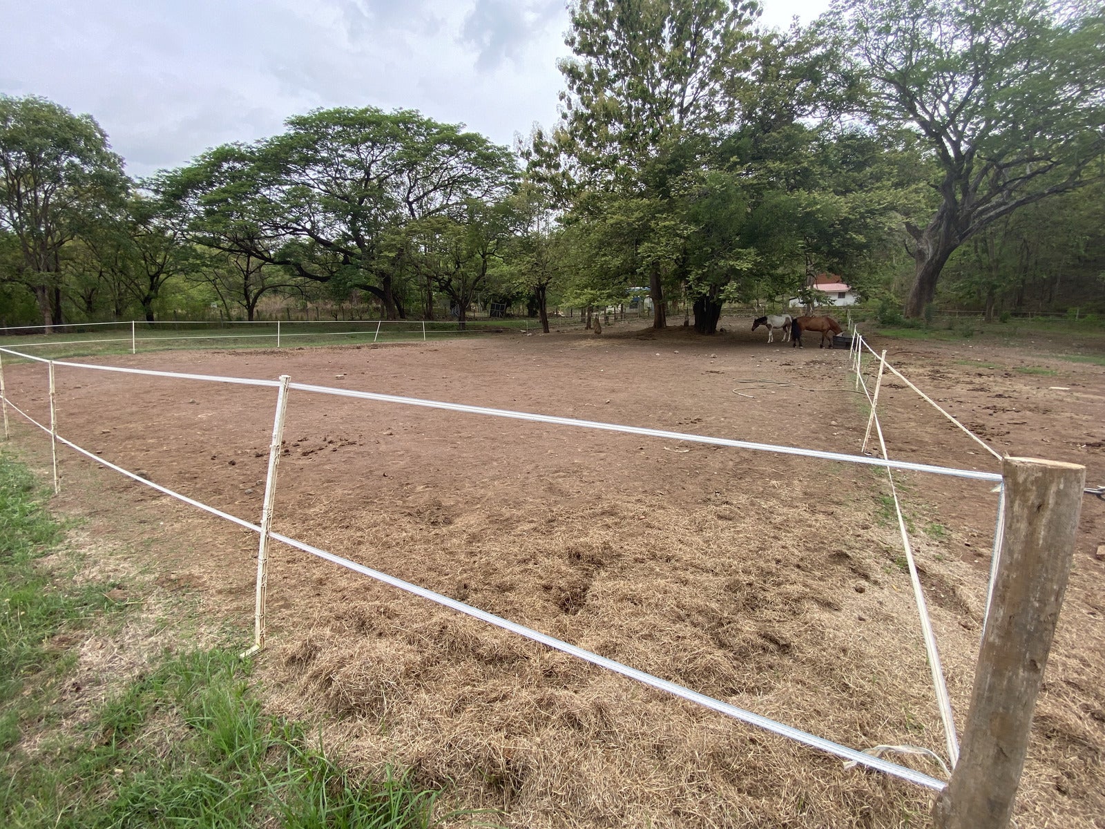 Five Hectares of Prime Development Opportunity  Residential and Commercial Walk to Beach near Flamingo Marina — photo 10 of 19