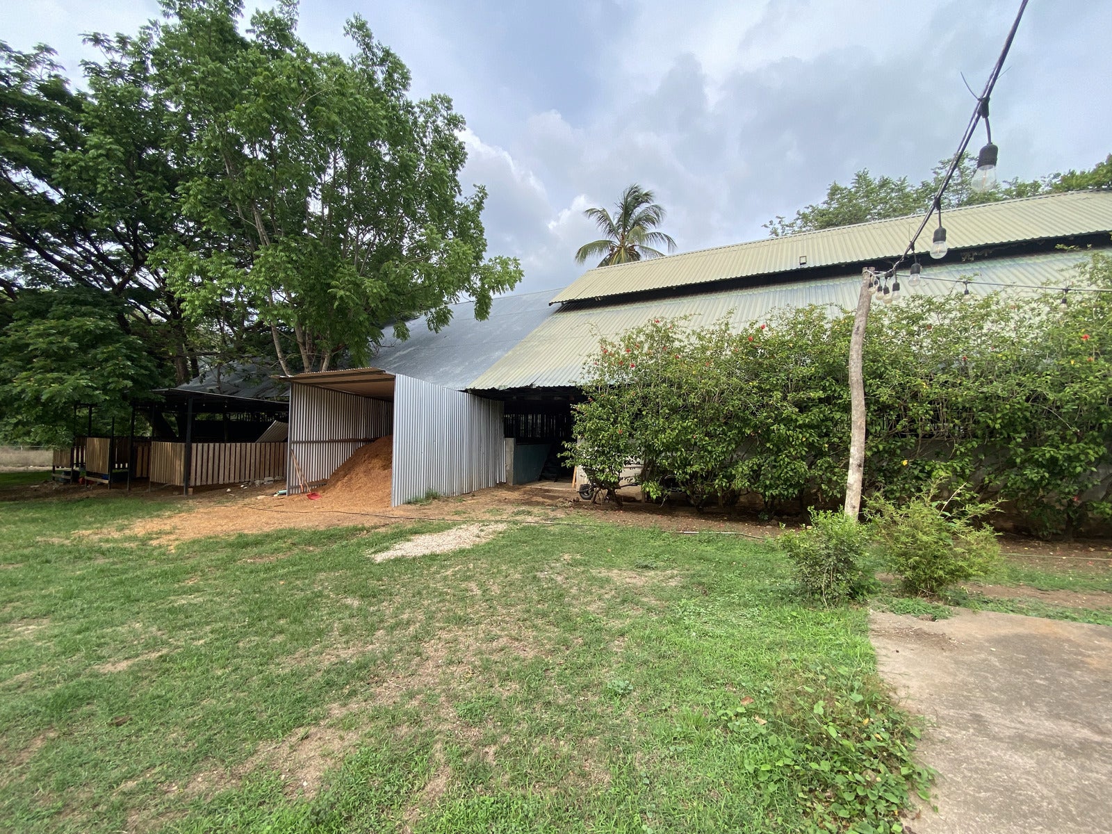 Five Hectares of Prime Development Opportunity  Residential and Commercial Walk to Beach near Flamingo Marina — photo 11 of 19