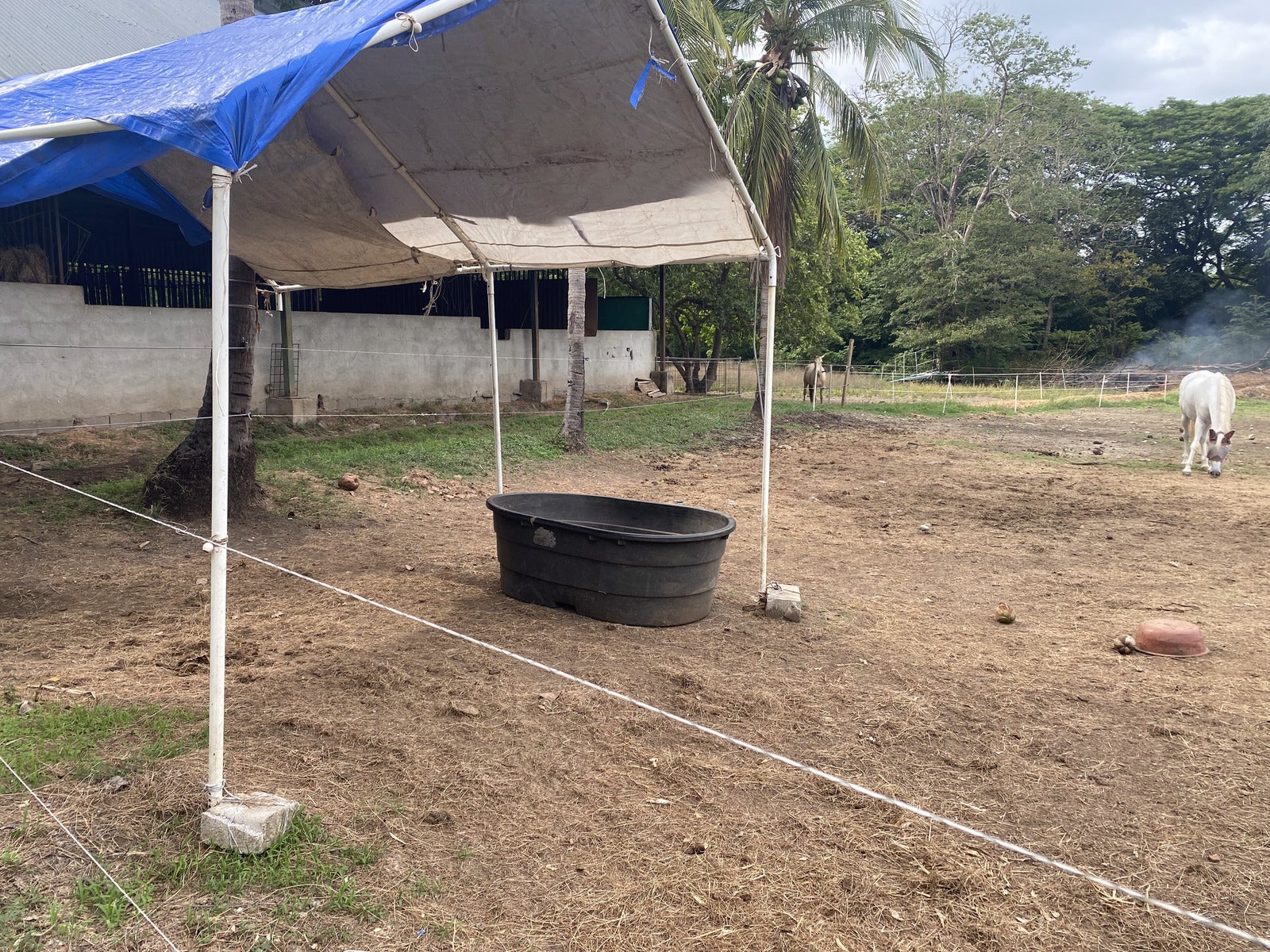 Five Hectares of Prime Development Opportunity  Residential and Commercial Walk to Beach near Flamingo Marina — photo 14 of 19