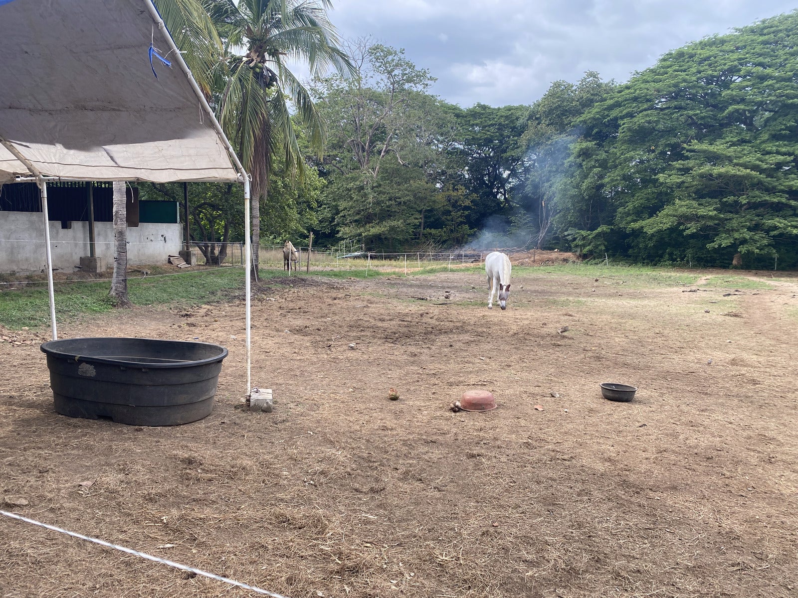Five Hectares of Prime Development Opportunity  Residential and Commercial Walk to Beach near Flamingo Marina — photo 15 of 19