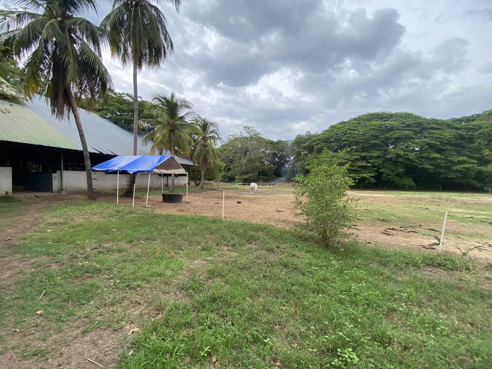 Five Hectares of Prime Development Opportunity  Residential and Commercial Walk to Beach near Flamingo Marina — photo 16 of 19