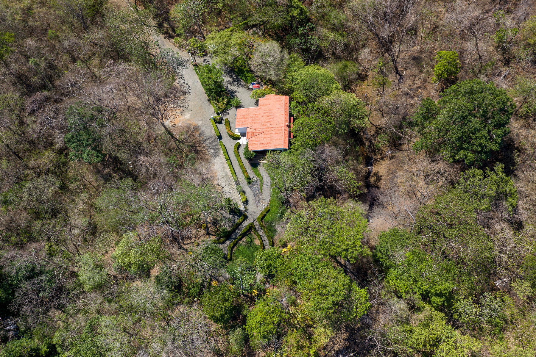 Surf Town Ocean View Home — photo 7 of 19