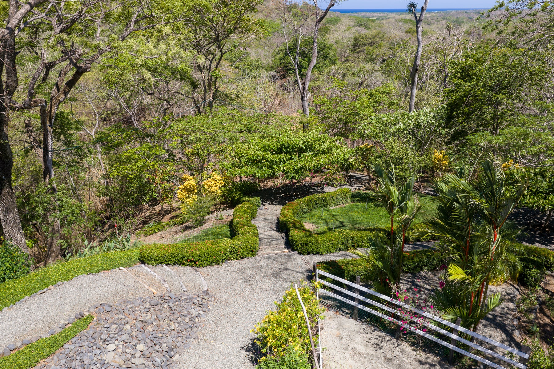 Surf Town Ocean View Home — photo 8 of 19