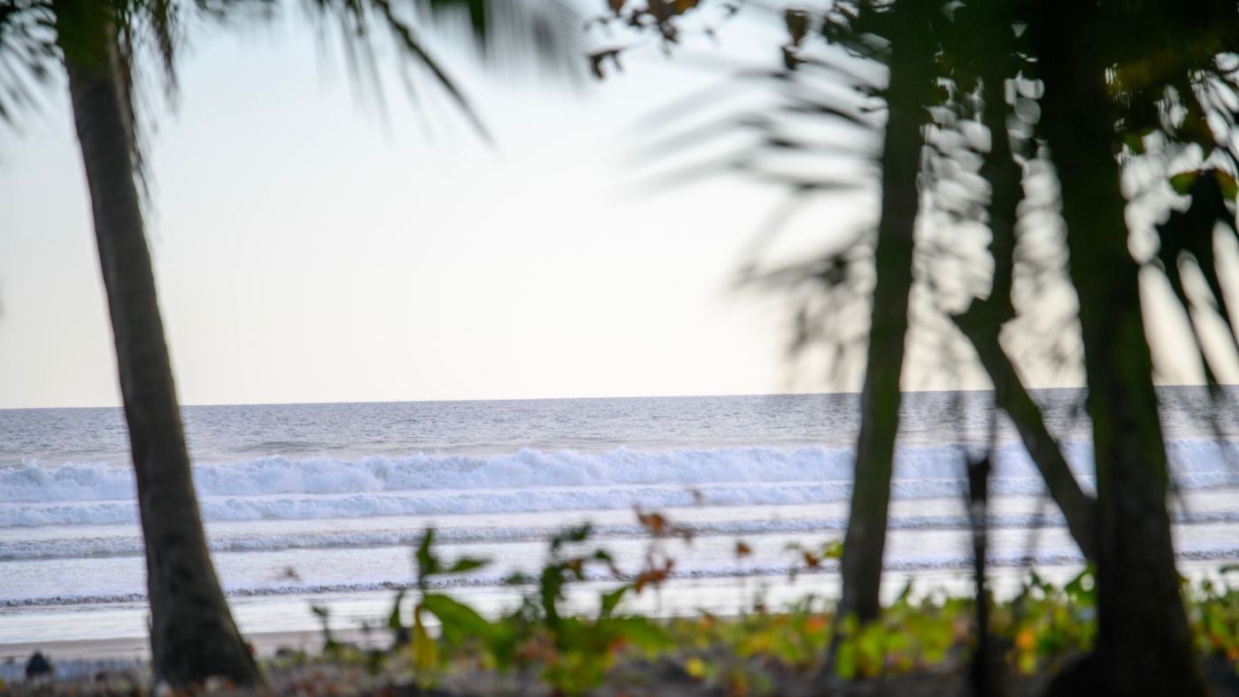 Esterillos Este Beachfront Lot — photo 2 of 10