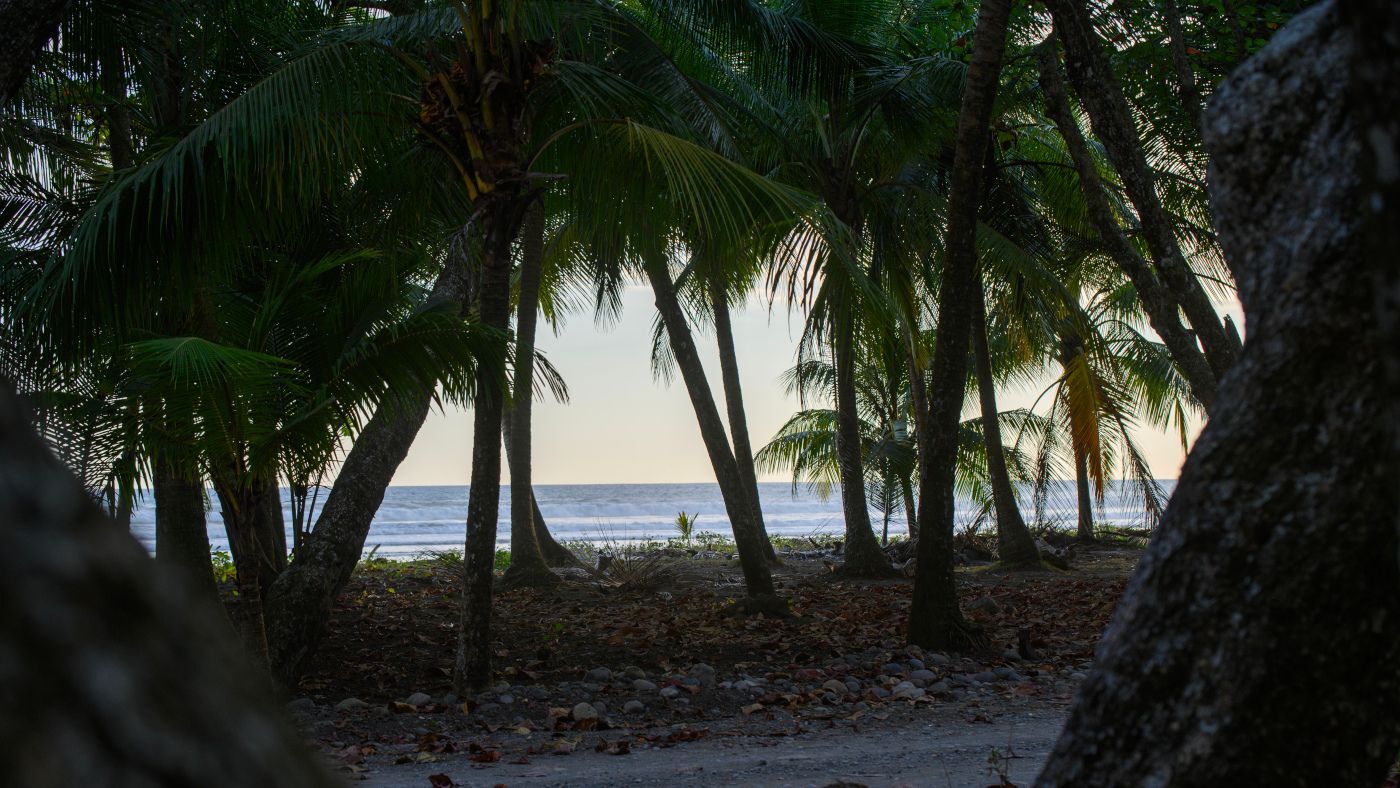 Esterillos Este Beachfront Lot — photo 4 of 10
