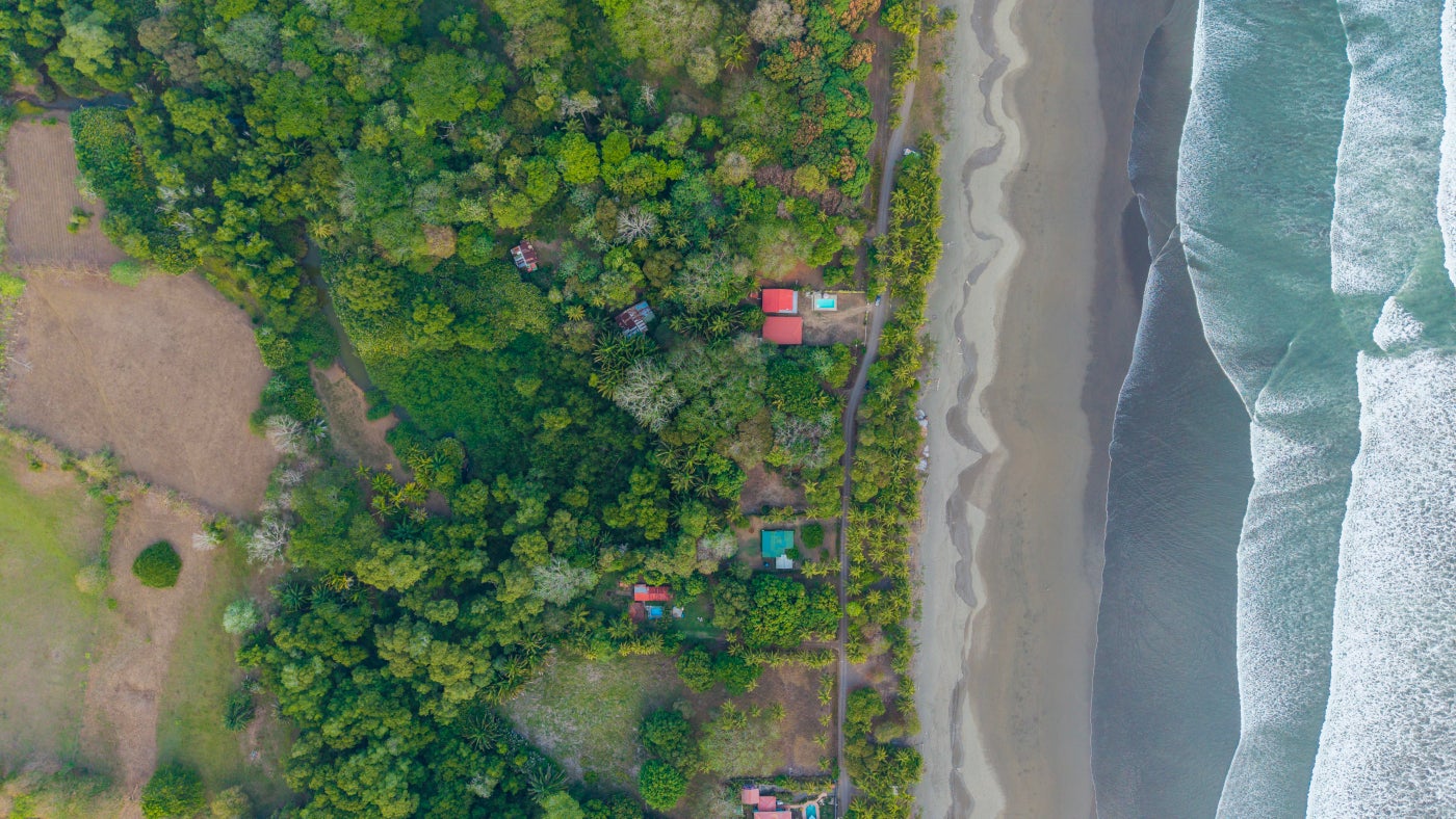 Esterillos Este Beachfront Lot — photo 8 of 10