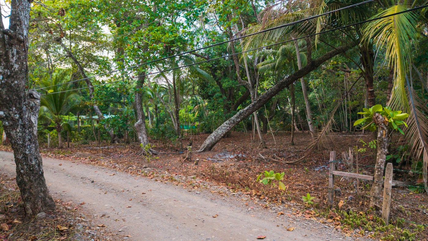 Esterillos Este Beachfront Lot — photo 10 of 10