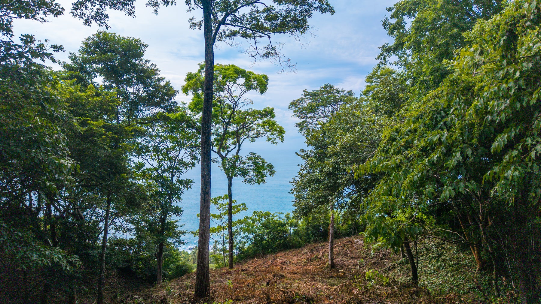 Ocean View Lot Delicias — photo 11 of 18
