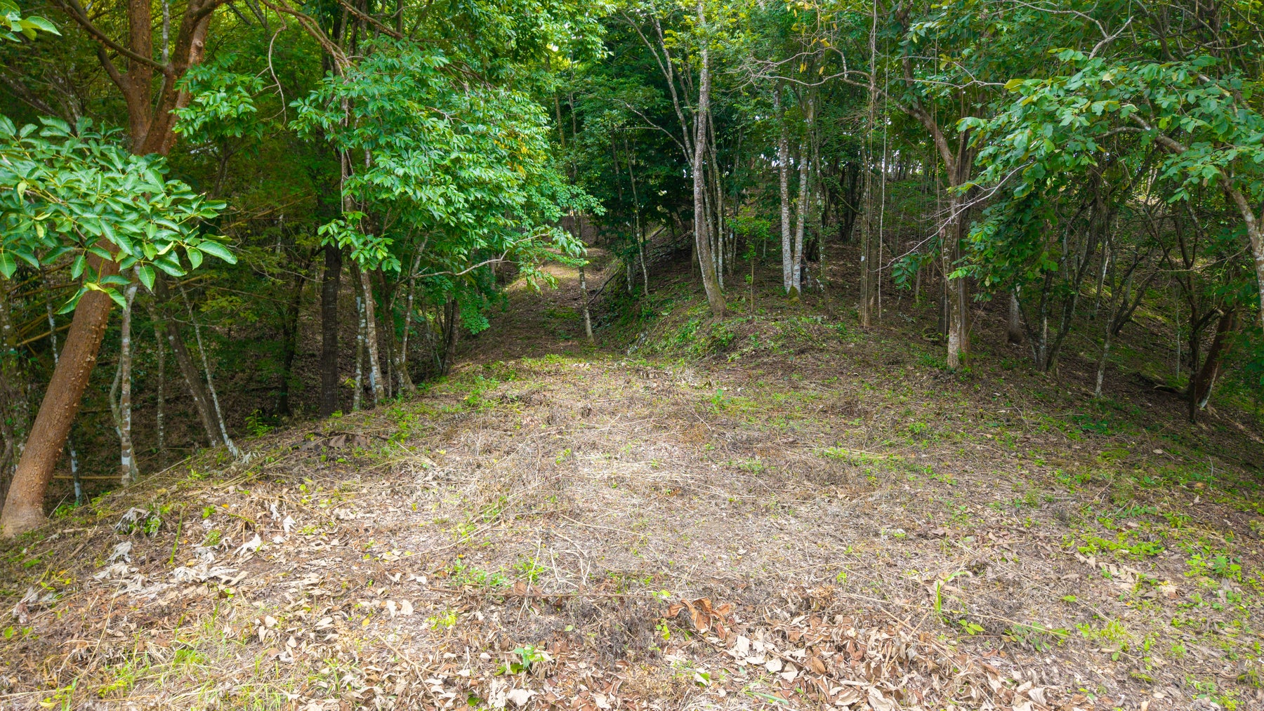 Ocean View Lot Delicias — photo 15 of 18