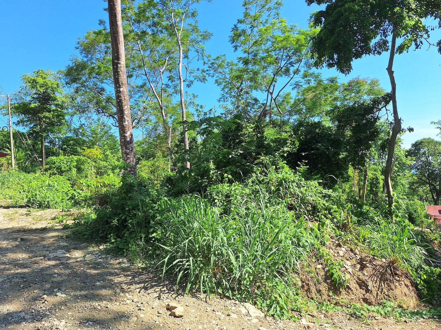Commercial Lot with Partial Ocean Views — photo 3 of 12