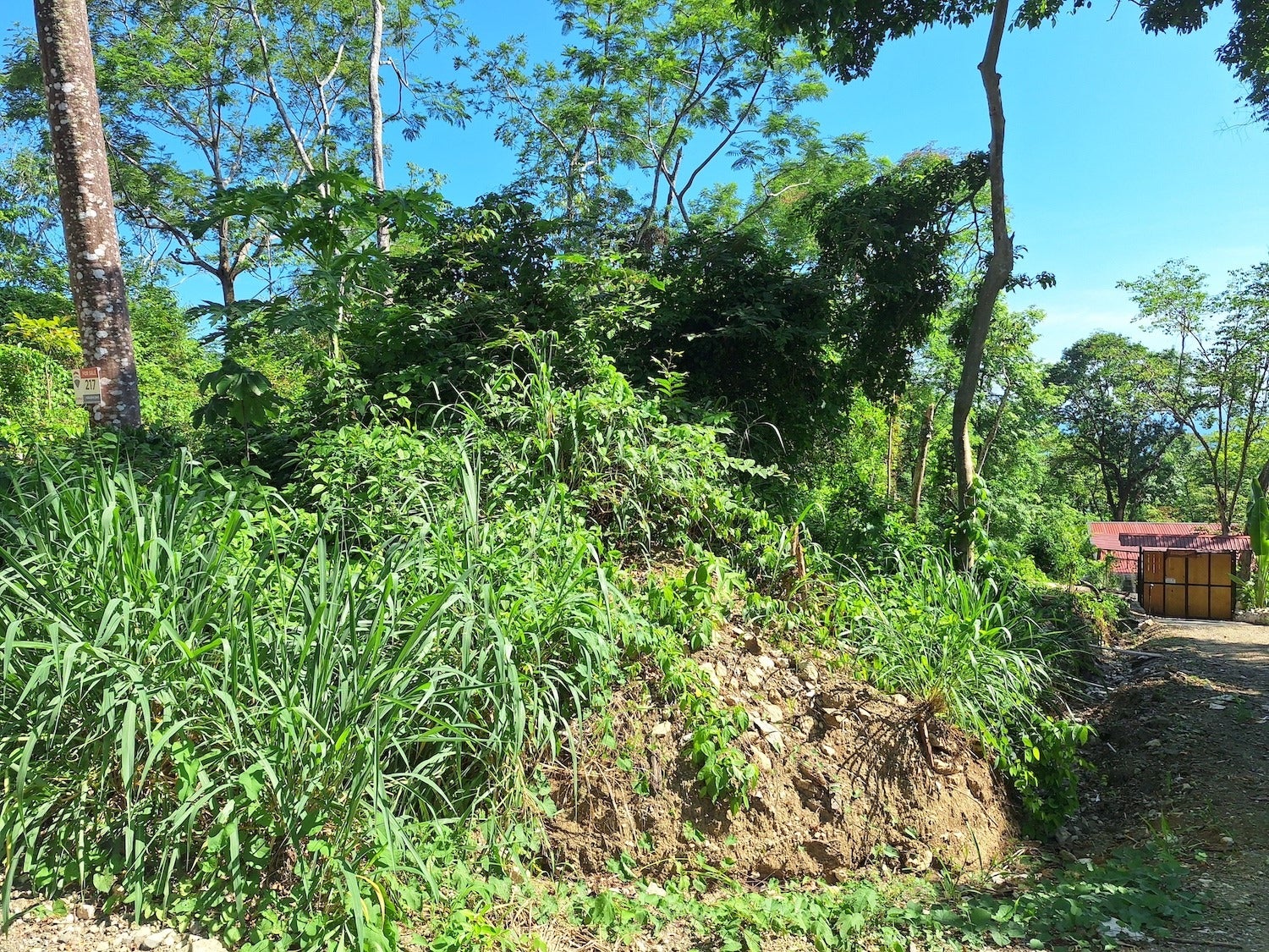 Commercial Lot with Partial Ocean Views — photo 4 of 12