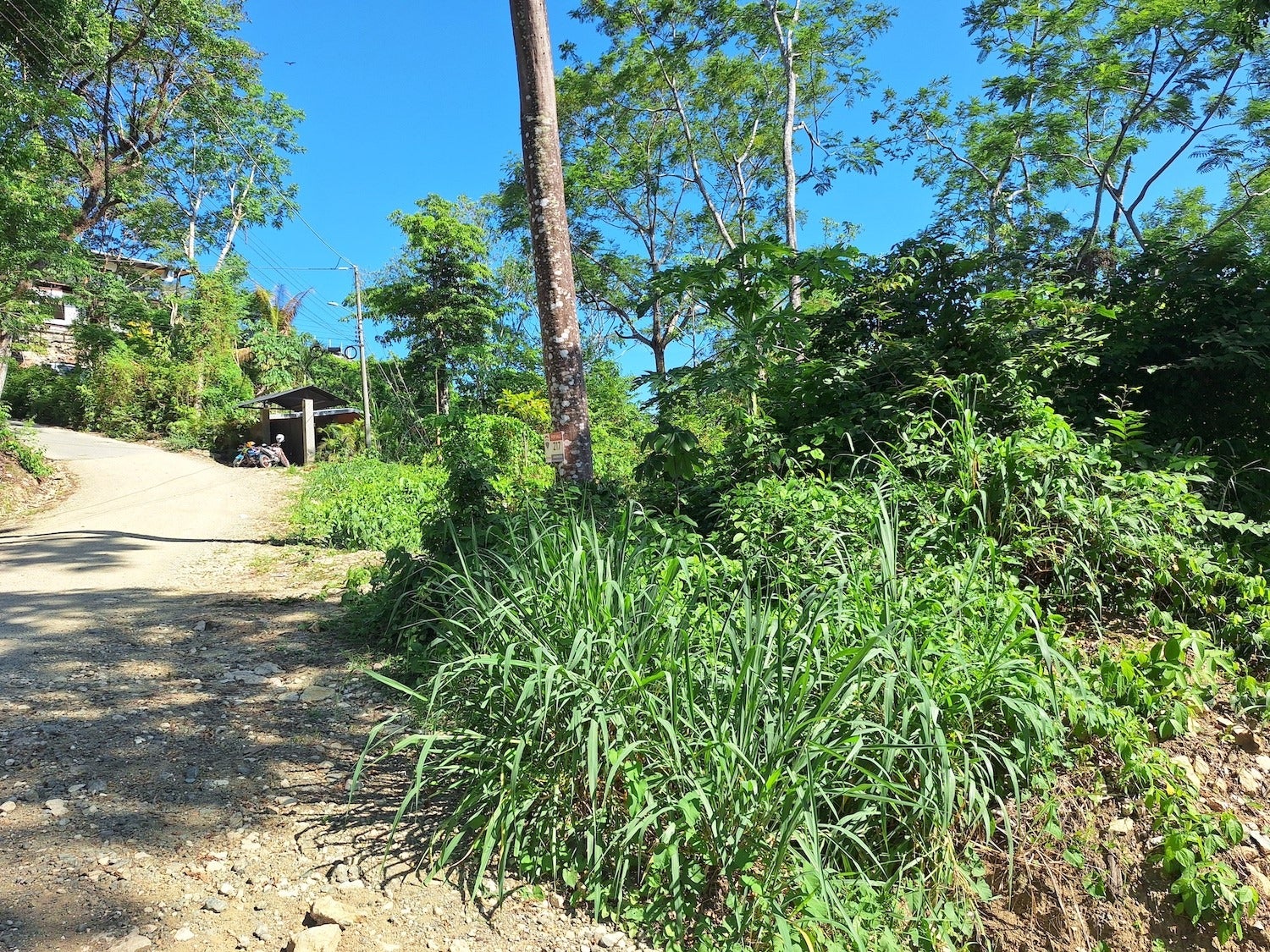 Commercial Lot with Partial Ocean Views — photo 5 of 12