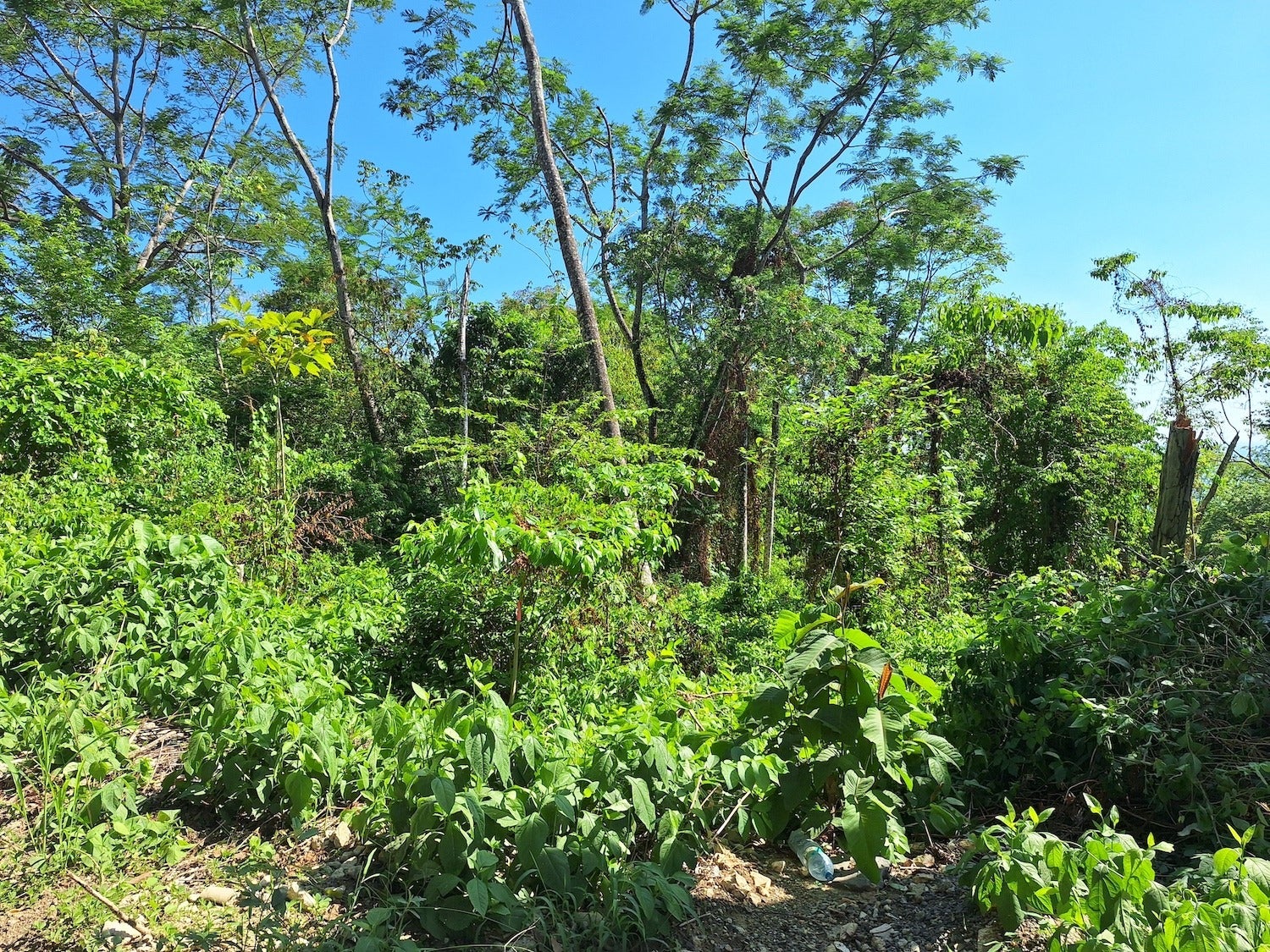 Commercial Lot with Partial Ocean Views — photo 2 of 12