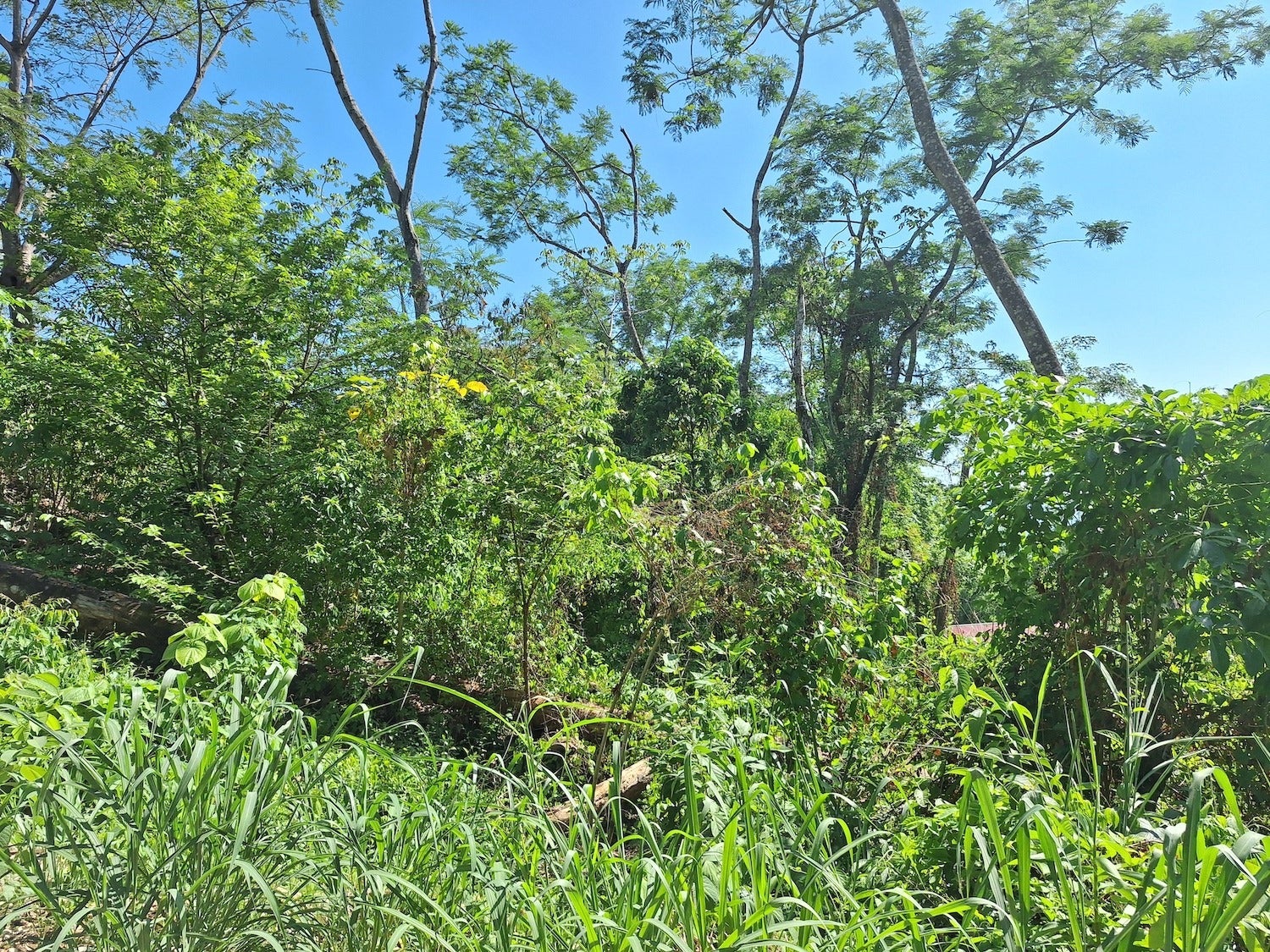 Commercial Lot with Partial Ocean Views — photo 6 of 12