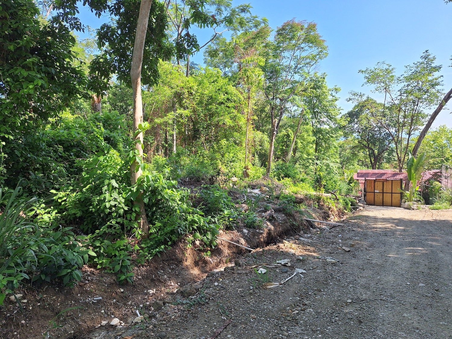 Commercial Lot with Partial Ocean Views — photo 8 of 12
