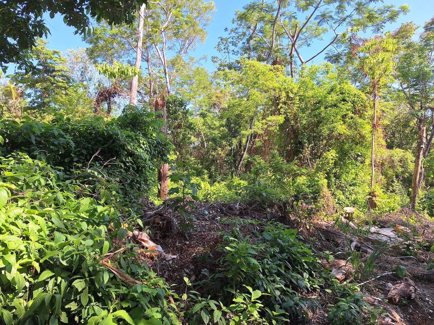 Commercial Lot with Partial Ocean Views — photo 9 of 12