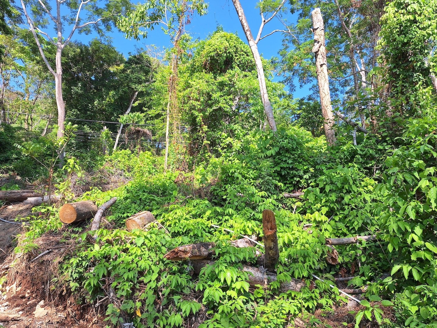 Commercial Lot with Partial Ocean Views — photo 10 of 12