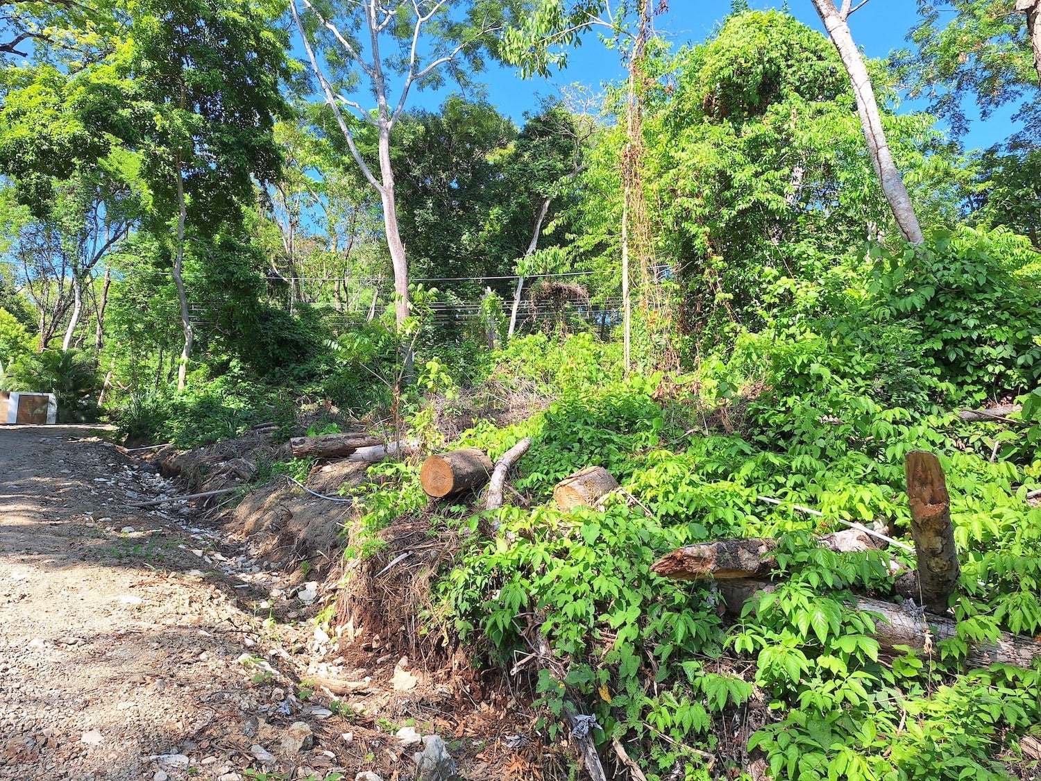 Commercial Lot with Partial Ocean Views — photo 11 of 12