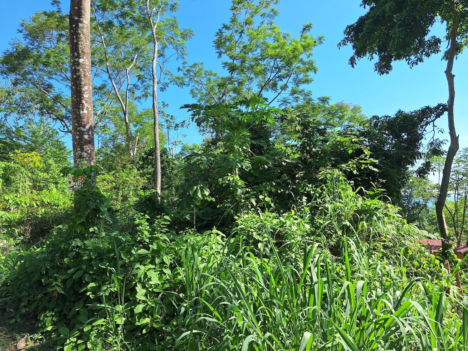 Commercial Lot with Partial Ocean Views — photo 12 of 12