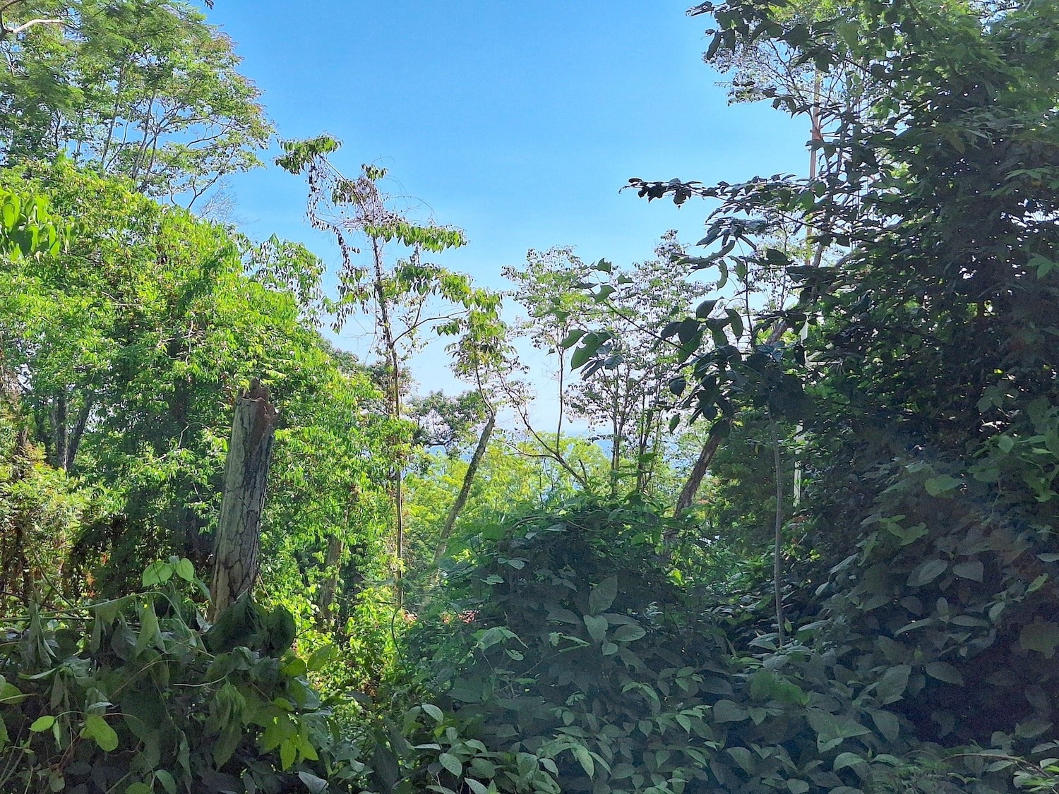 Commercial Lot with Partial Ocean Views, Santa Teresa, Cobano, Puntarenas, Puntarenas, Costa Rica 60111