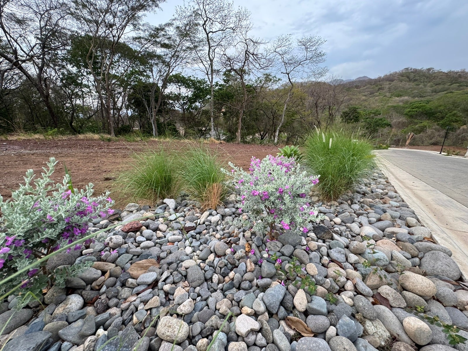 Luxury Private Lot — photo 7 of 14