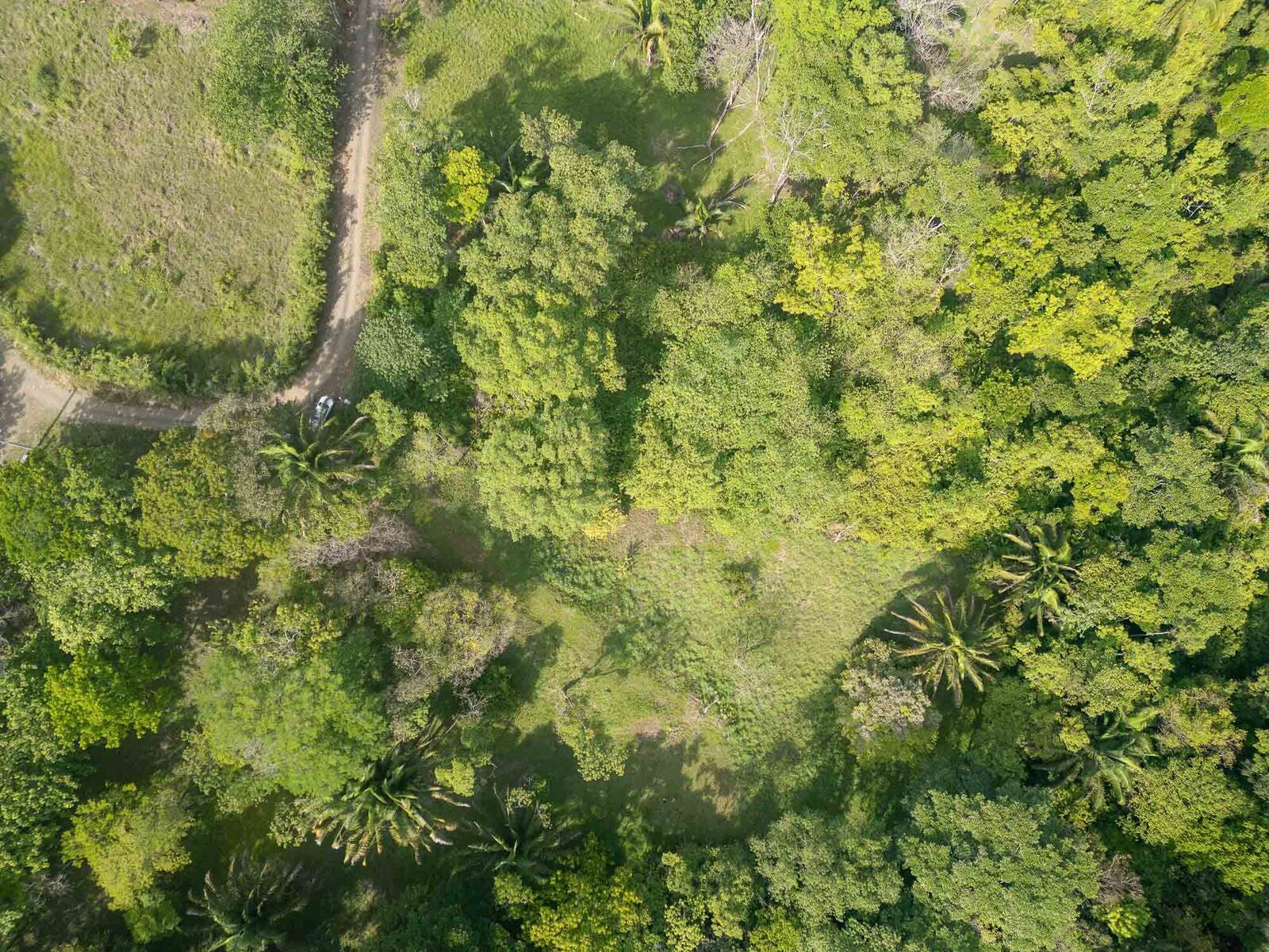 Rainforest Creek Estate, Quepos, Manuel Antonio, Puntarenas, Costa Rica