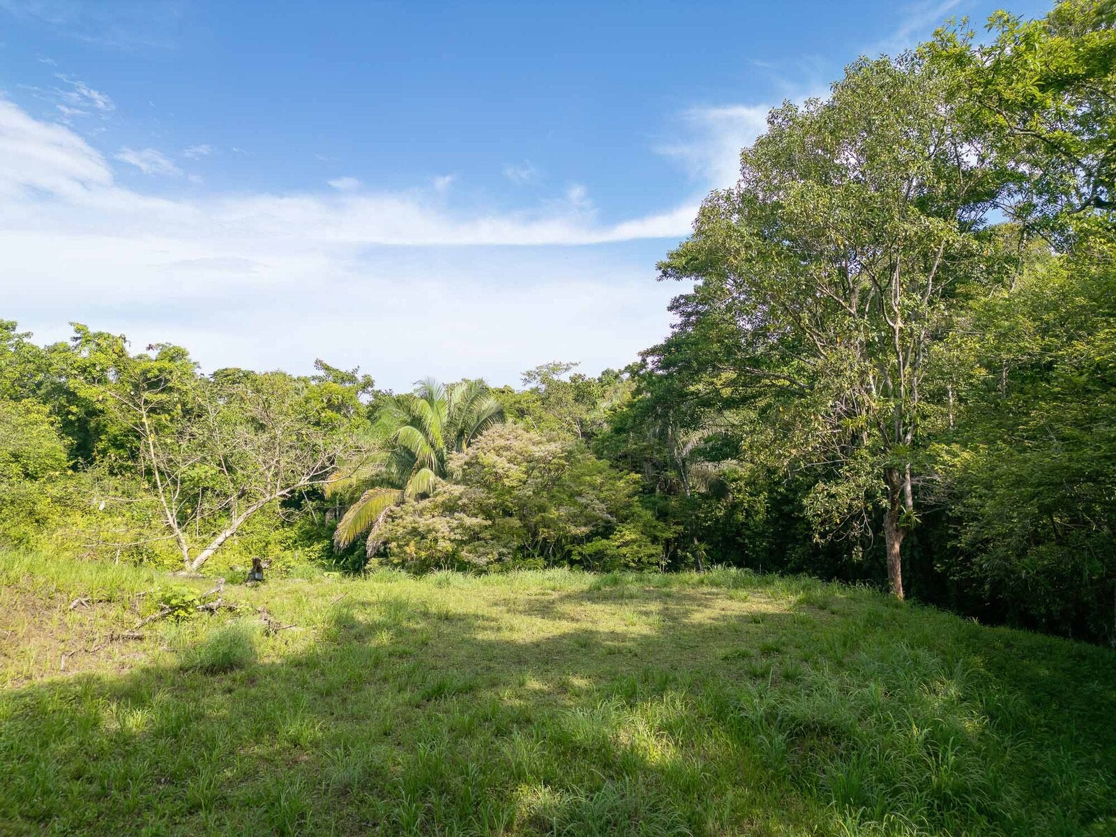 Rainforest Creek Estate — foto 4 de 13