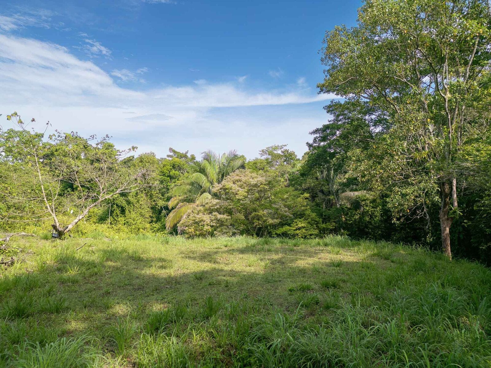 Rainforest Creek Estate — foto 5 de 13