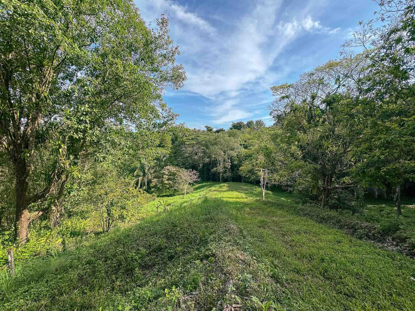 Rainforest Creek Estate — foto 6 de 13
