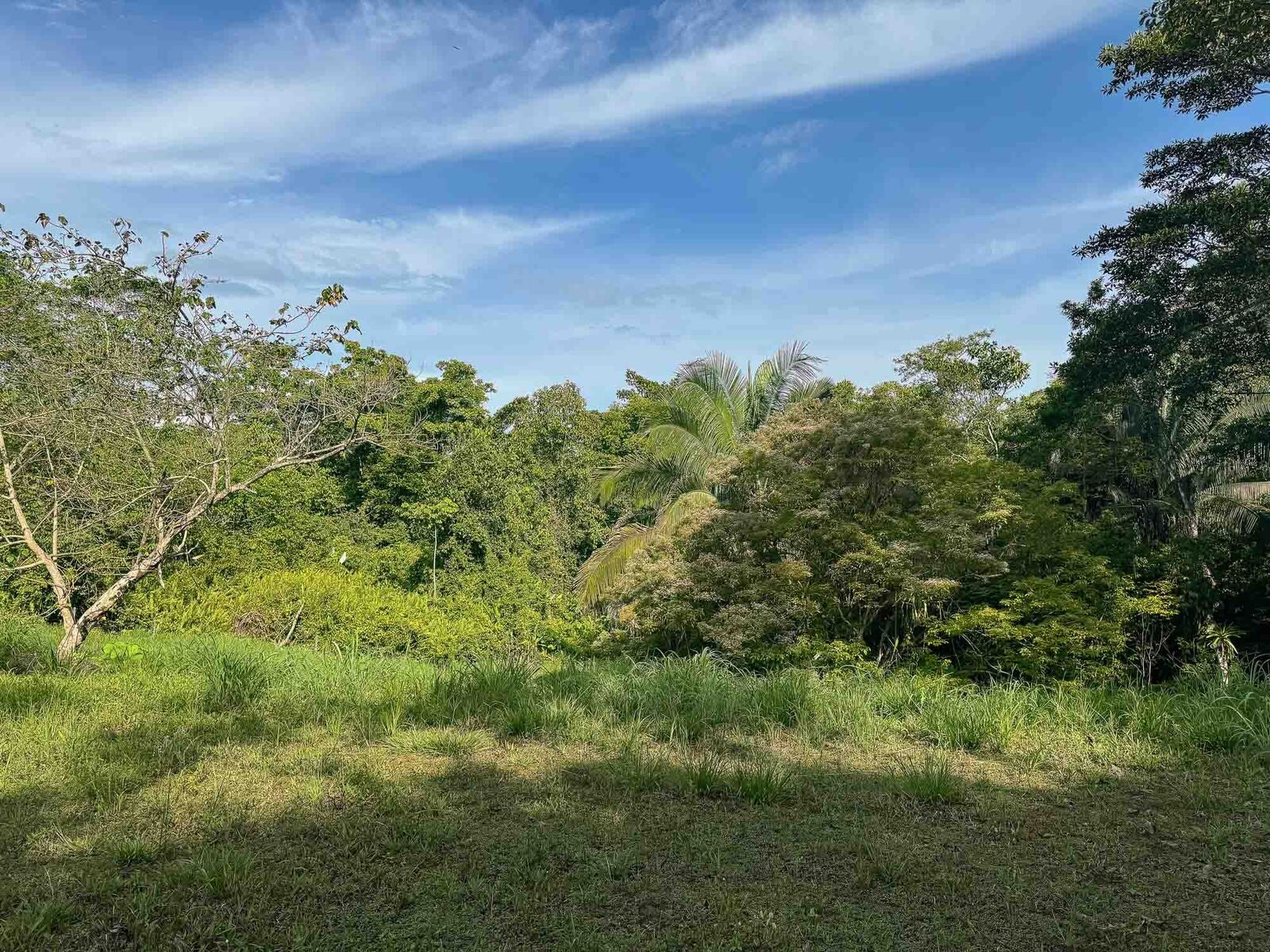 Rainforest Creek Estate — foto 8 de 13