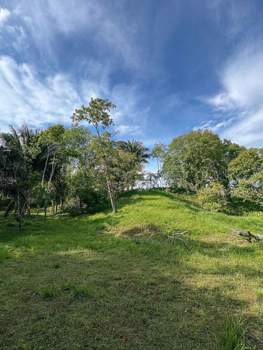 Rainforest Creek Estate — foto 10 de 13