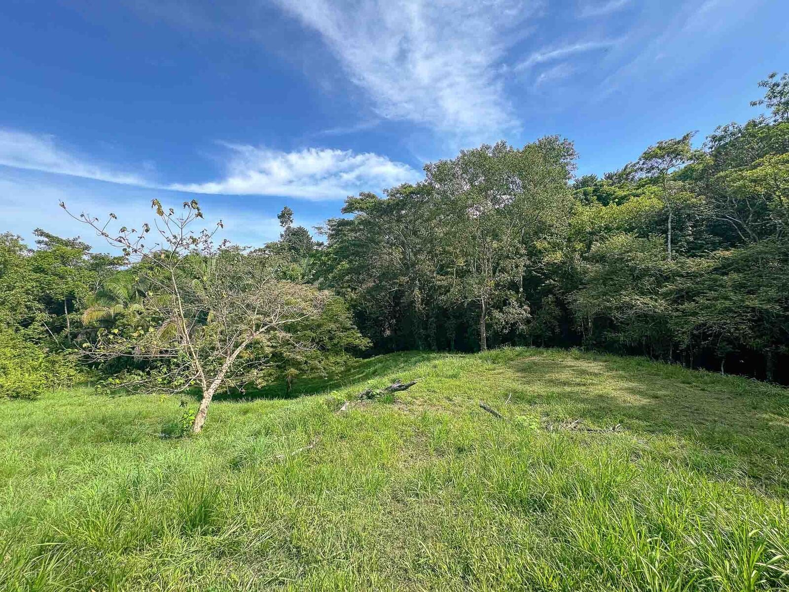 Rainforest Creek Estate — foto 13 de 13