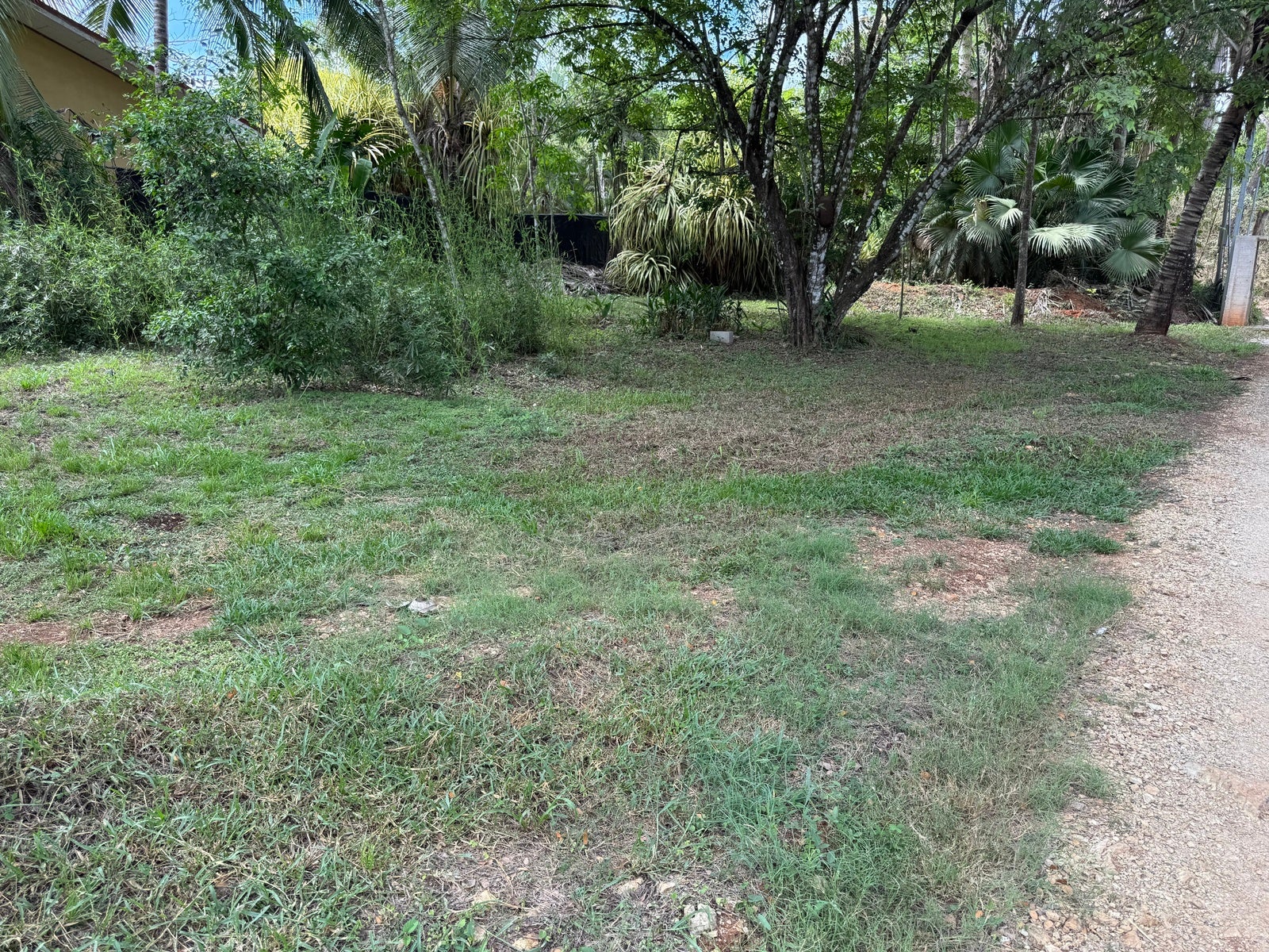 Great Value Land — photo 3 of 5