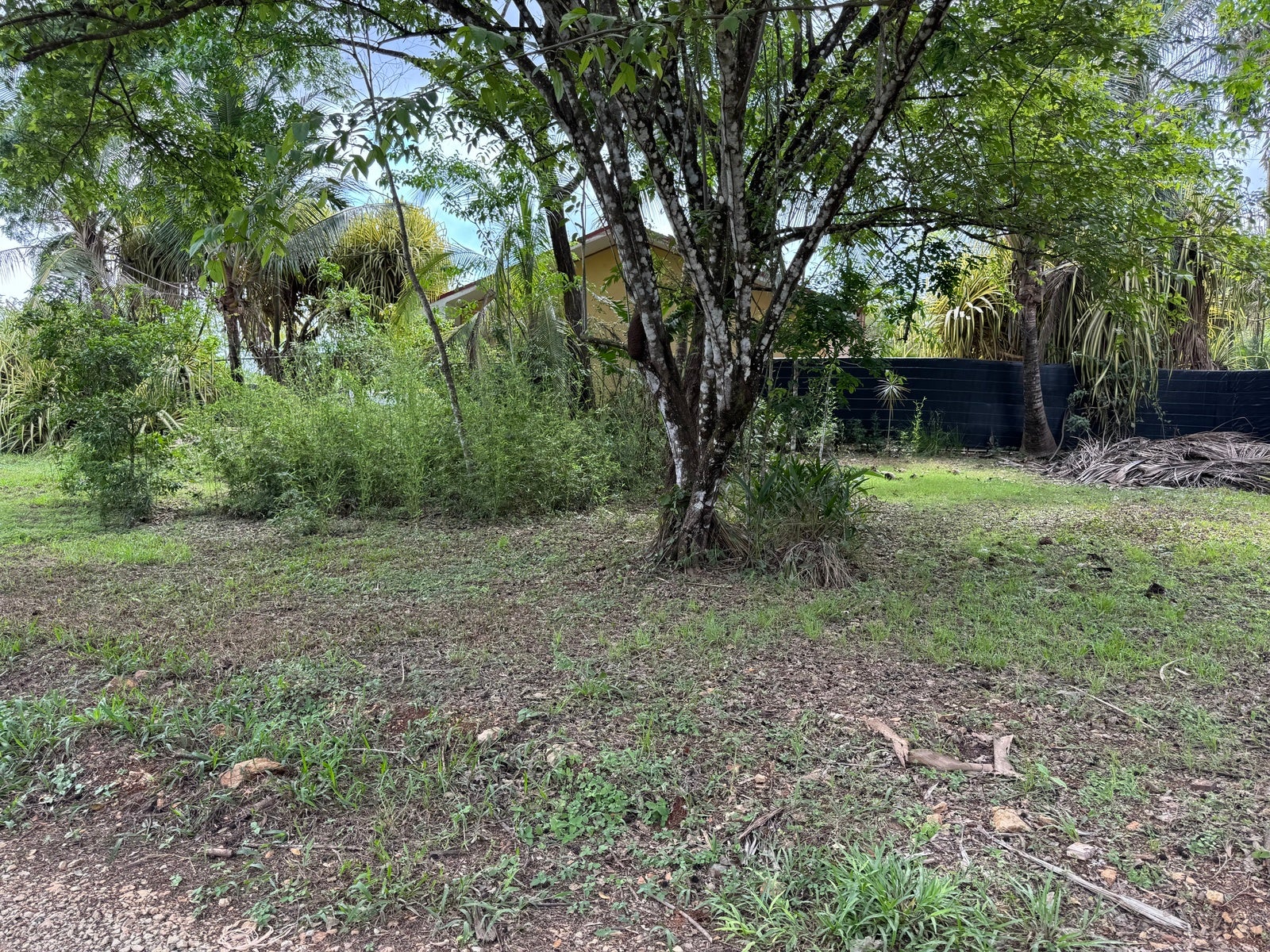 Great Value Land — photo 5 of 5