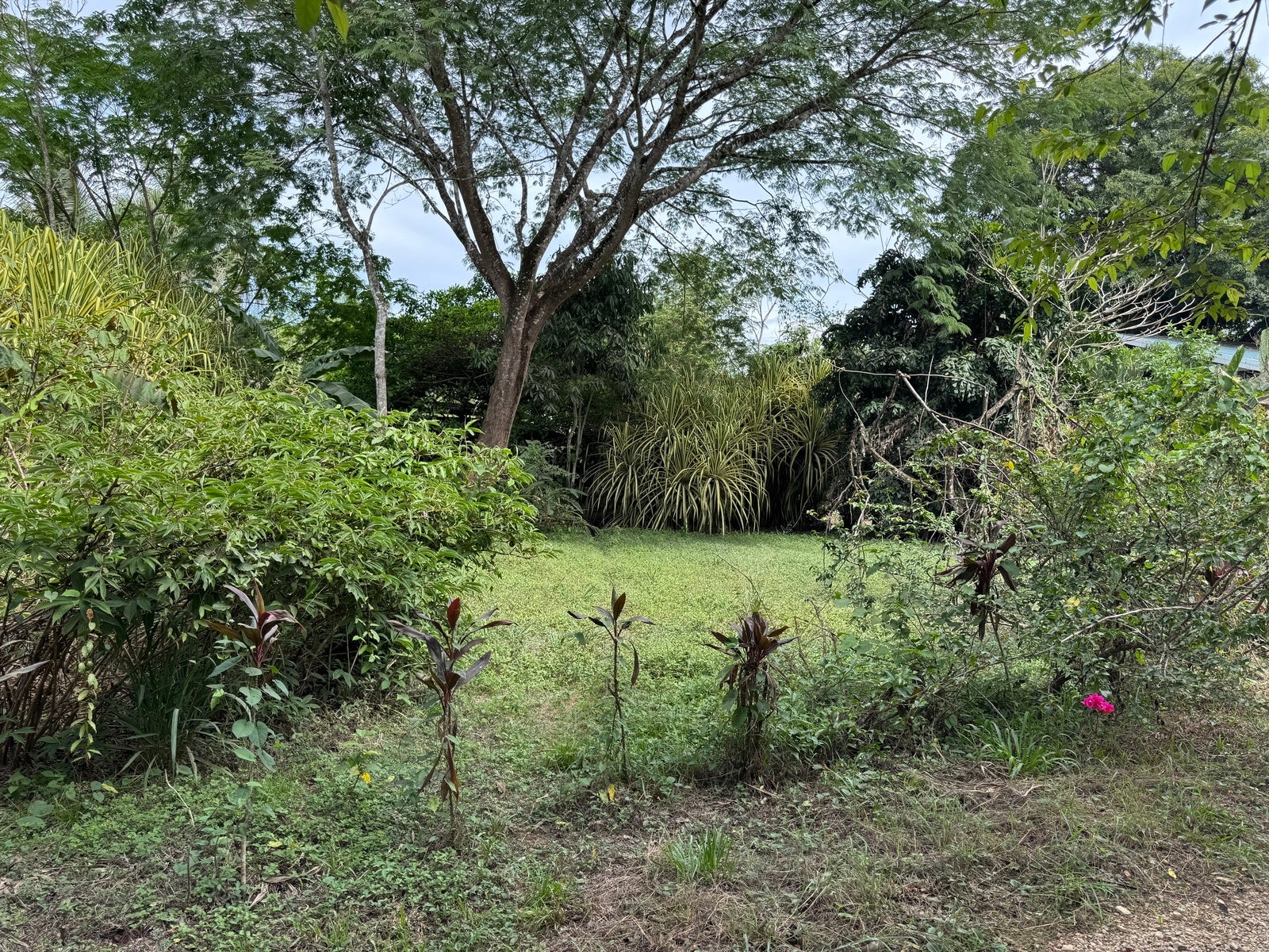 Great Value Land, San Isidro, Santa Teresa, Cobano, Puntarenas, Puntarenas, Costa Rica 60111