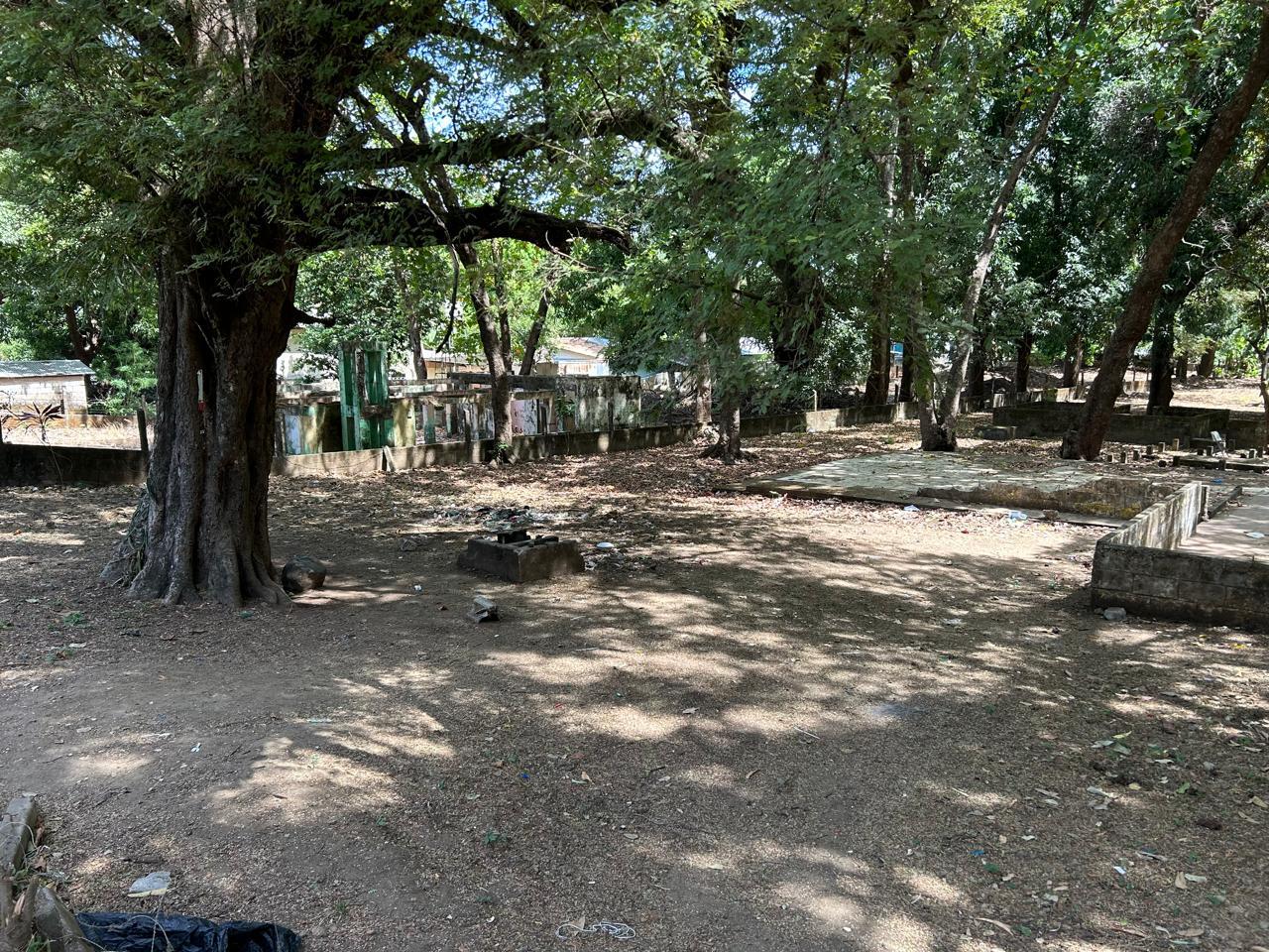 High Growth Investment Property Near Future Coco Marina and Beach — photo 4 of 10